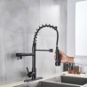 Stainless Steel Spring Dual Spout Tap Black Kitchen Faucet