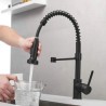 Brass Spring Kitchen Faucet in Black