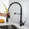 Brass Spring Kitchen Faucet in Black