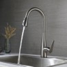 Kitchen Sink Faucet with Single Handle and Pull Out Sprayer