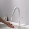 Stainless Steel Kitchen Sink Faucets with Single Handle High Arc Pull Out