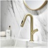 Stainless Steel Kitchen Sink Faucets with Single Handle High Arc Pull Out