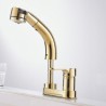 Luxurious Pull-out Tap with Liftable Golden Faucet