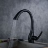 Kitchen Faucet Pull Out Sprayer Baking Varnish Matte Black Sink Tap Mixer with 360 Degree Swivel Nozzle