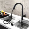 Unique Hidden Pull-Out Function Tap Chrome/Black/Black+Gold Curved Brass Pull-Out Kitchen Faucet