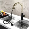 Unique Hidden Pull-Out Function Tap Chrome/Black/Black+Gold Curved Brass Pull-Out Kitchen Faucet