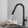 Pull-Out Kitchen Faucet Black Brass Rotatable Spout Tap