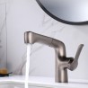 Single Hole Bathroom Faucet With Pull Out Sprayer