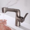 Single Hole Bathroom Faucet With Pull Out Sprayer