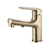 Cold & Hot Basin Faucet Pull Out Bathroom Basin Sink Faucet Mixer Tap