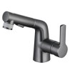 Pull-Out Basin Mixer Tap Rinser Spray Gargle Brushing Faucet with 2 Modes