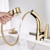 Liftable Basin Faucet Pull-out Sink Tap in Gold