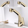 Liftable Basin Faucet Pull-out Sink Tap in Gold