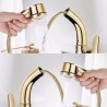 Liftable Basin Faucet Pull-out Sink Tap in Gold