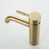 Stainless Steel Bathroom Sink Tap with Brushed Gold Basin Faucet