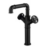 Brass Dual Handles Countertop Faucet in Black Industrial Style