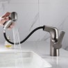 Bathroom Faucet with Single Hole and Pull Out Sprayer