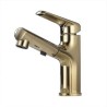 Cold & Hot Basin Faucet Pull Out Bathroom Basin Sink Faucet Mixer Tap