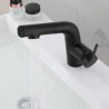 Pull-Out Black Brass Wash Basin Faucet