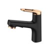 Pull-Out Countertop Faucet with Brass Basin Mixer Tap