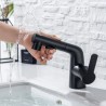 Pull-Out Basin Mixer Tap Rinser Spray Gargle Brushing Faucet with 2 Modes