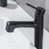 Single Lever Vessel Sink Faucet with Pull-Out Basin Mixer