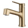 Single Lever Bathroom Faucet with Pull-Out Basin Mixer