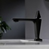 Chrome / Black / Rose Gold Optional Modern Brass Basin Faucet (Short)