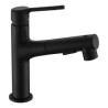 Gargle Brushing Pull-Out Basin Mixer Tap Rinser Sprayer