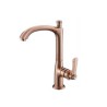 Modern Simple Bathroom Sink Tap with Swivel Basin Faucet