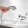 Pull Down Bathroom Sink Faucet in Brushed Chrome