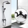 Stainless Steel Bathroom Shower System with Black Shower Faucet