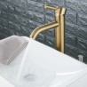 Bathroom Mixer Tap Single Faucet in Brushed Gold Stainless Steel (Tall)