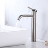 Stainless Steel Sink Faucet with Rotation (Tall)