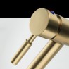 Stainless Steel Bathroom Mixer Tap with Brushed Gold Faucet (Tall)