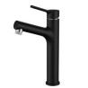 Optional Chrome / Black Pull-out Basin Faucet (Tall)