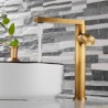 Swivel Vessel Sink Faucet with Antique Brass Basin Mixer Tap