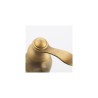 Bathroom Sink Faucet with Antique Brass Single Handle Centerset