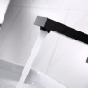 Optional Brushed Gold/Black Wall Mounted Centerset Basin Faucet with Embedded Box