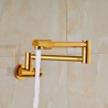 Wall Mount Foldable Kitchen Tap with Luxurious Gold Pot Filler