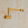 Wall Mount Foldable Kitchen Tap with Luxurious Gold Pot Filler