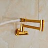 Wall Mount Foldable Kitchen Tap with Luxurious Gold Pot Filler