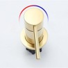 Bathroom Single Handle Mixer Tap with Brushed Gold Basin Faucet