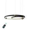 2 Rings LED Circle Pendant Light Fixture