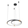 2 Rings LED Circle Pendant Light Fixture