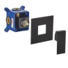 Black Square Shower Valve with Single Function