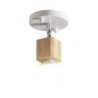 Modern White Aisle Ceiling Light with Mini Spotlight (Single Light)