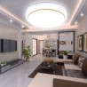 Living Room Balcony Round LED Flush Mount Simple Acrylic Ceiling Light