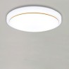 Living Room Balcony Round LED Flush Mount Simple Acrylic Ceiling Light