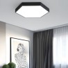 Living Room Bedroom Dining Room Light Contemporary Simple LED Flush Mount Hexagon Ceiling Light